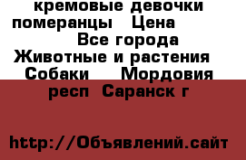 кремовые девочки померанцы › Цена ­ 30 000 - Все города Животные и растения » Собаки   . Мордовия респ.,Саранск г.